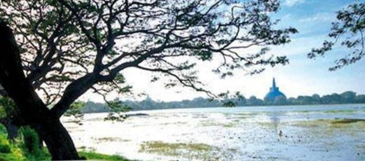 Lucky Holiday Home Anuradhapura Bagian luar foto