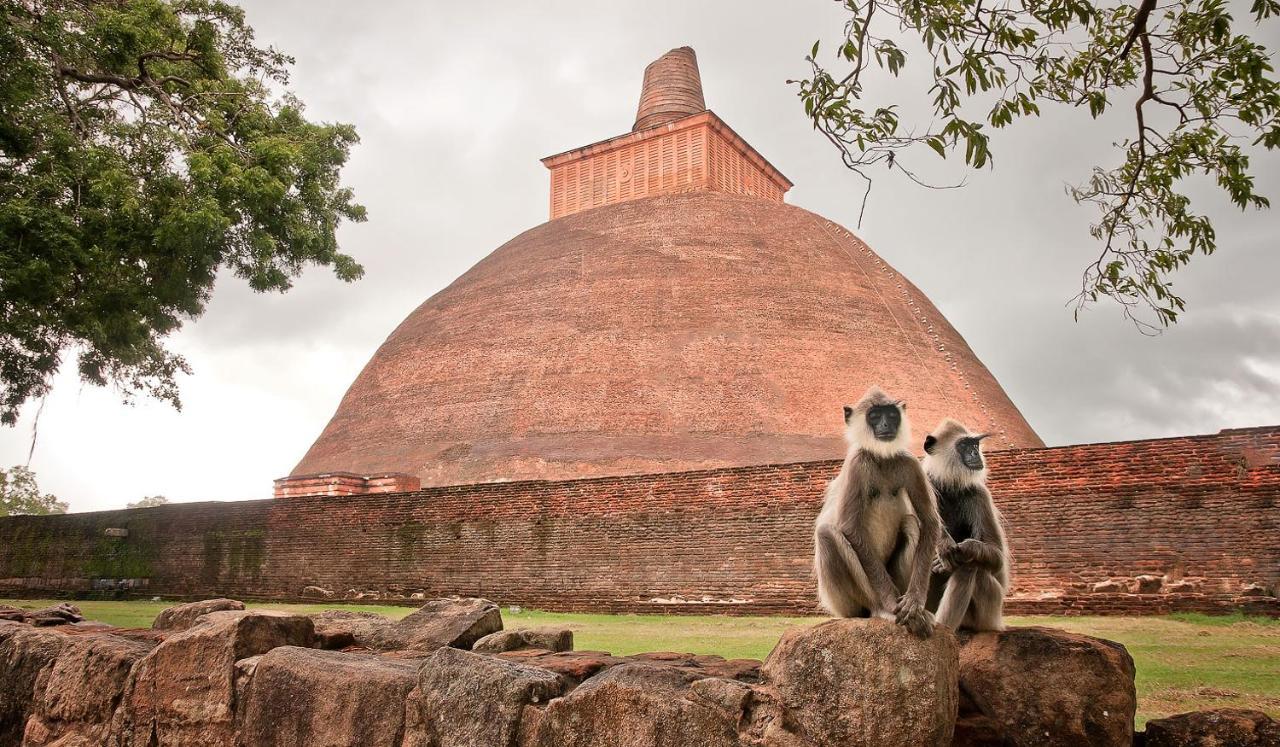 Lucky Holiday Home Anuradhapura Bagian luar foto