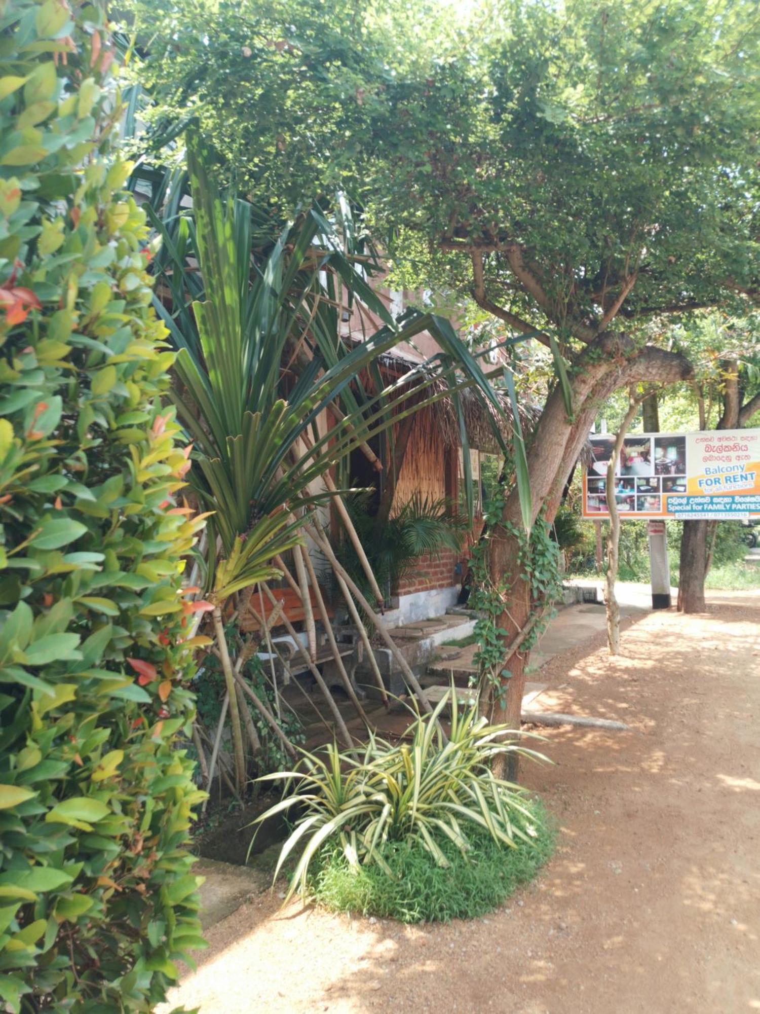 Lucky Holiday Home Anuradhapura Bagian luar foto